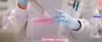 Researcher pippetting samples