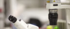 Manchester Cancer Research Centre - Early Detection of Cancer Conference 2024