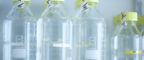 Vials on a shelf within the laboratory