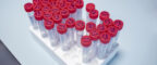 Sample tubes on a laboratory bench