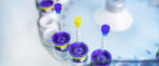 Samples loaded into an NMR instrument