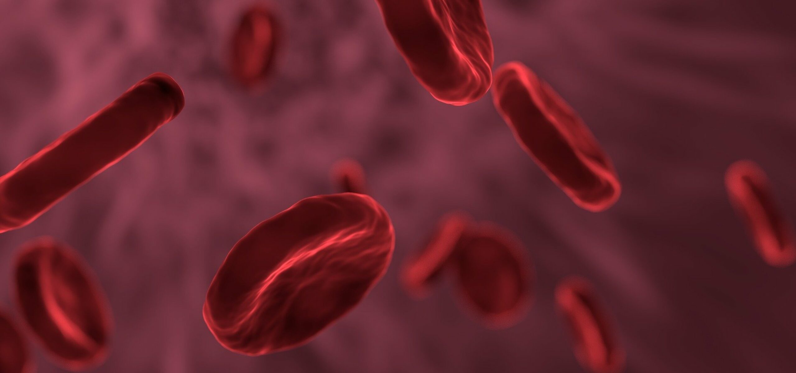 Red blood cells