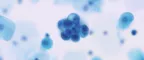 Manchester Cancer Research Centre - Advancing cell and gene therapies: Levelling up life sciences investment in the North-West