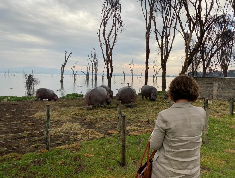 Suz in front of a group of hippos in Kenya