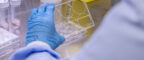 Manchester Cancer Research Centre - Christie International Fellowship