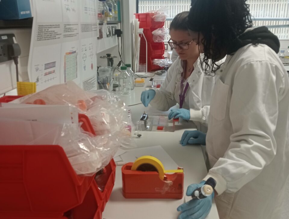 A student observing an experiment in the lab with researcher Kashmala Carys.