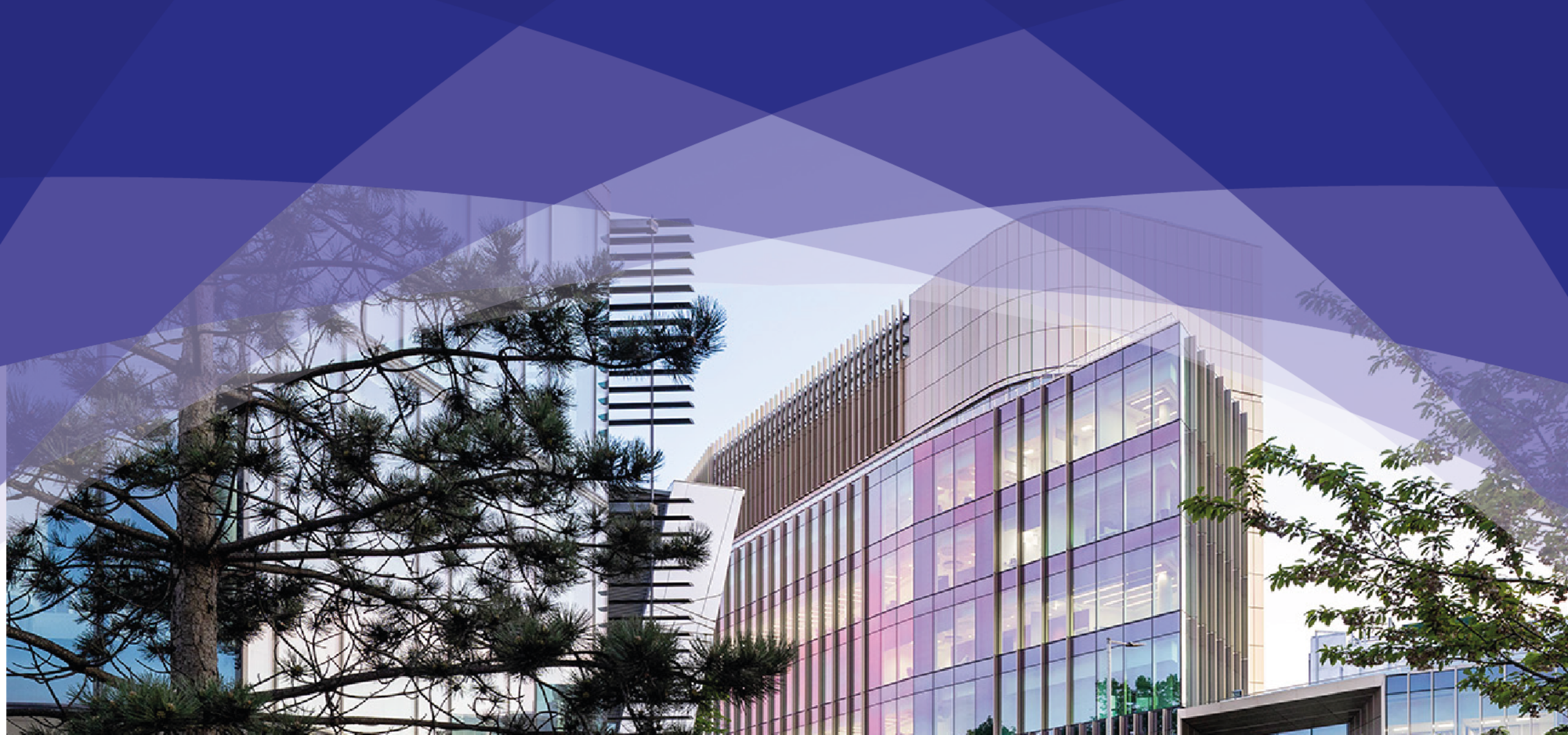 Christie International Fellowship Programme banner showing the Paterson and Oglesby cancer research buildings in Manchester