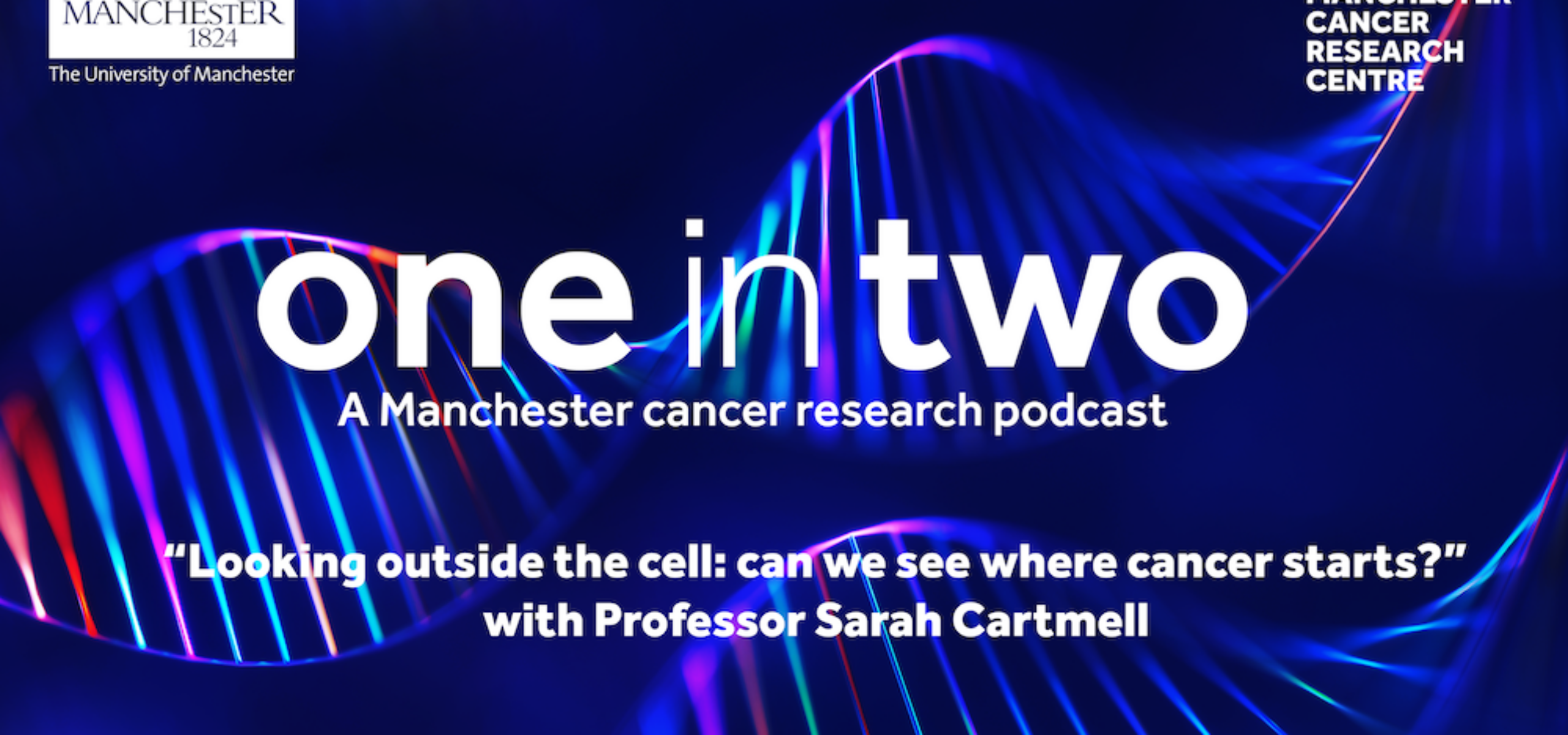 Manchester Cancer Research Centre - International Women’s Day 2024 – A message from the MCRC Director
