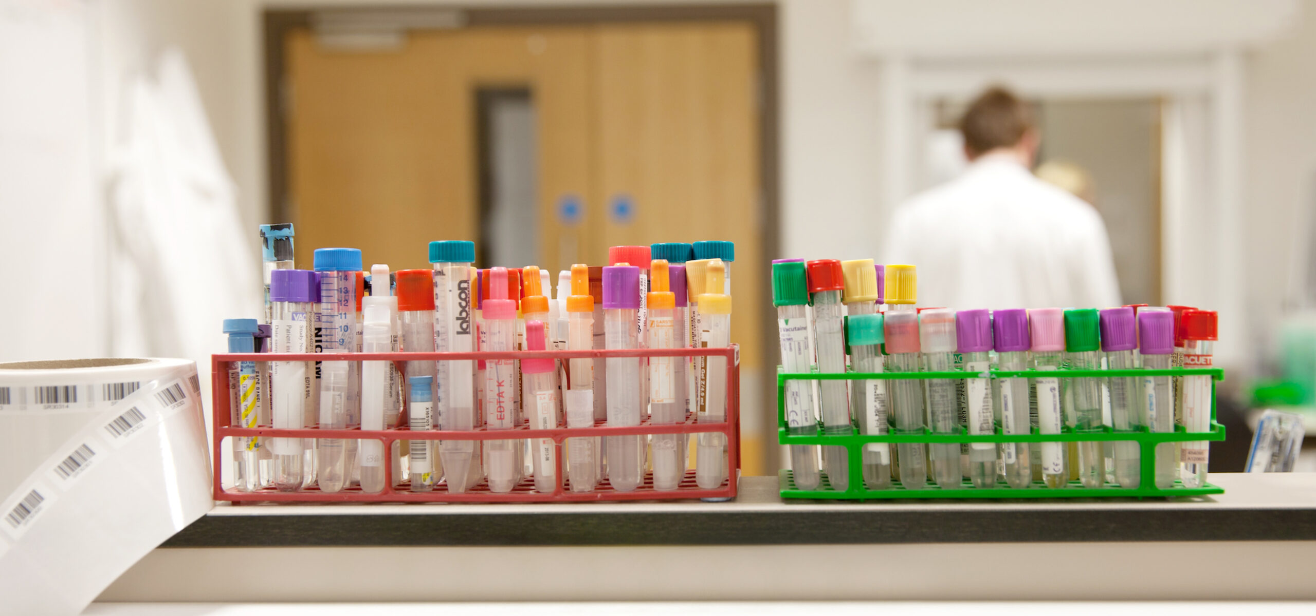 samples waiting to be processed in a laboratory